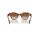 Ray-Ban RB0880S Sunglasses, Striped Havana Frame, Clear Gradient Brown Lens, 49, RB0880S-954-51-49