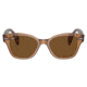Ray-Ban RB0880S Sunglasses, Transparent Brown Frame, Brown Polarized Lens, 49, RB0880S-664057-49