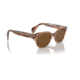 Ray-Ban RB0880S Sunglasses, Transparent Brown Frame, Brown Polarized Lens, 49, RB0880S-664057-49