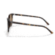 Ray-Ban RB2197 Elliot Sunglasses, Havana Frame, Brown Lens, 50, RB2197-902-33-50