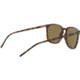 Ray-Ban RB4387 Sunglasses 710/73-56 - Havana Frame, Dark Brown Lenses