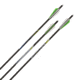 Allen Cx600 Crossbow Bolt, 3 Pack, .006 Straightness, Black, 20in, 93120