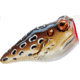 Rebel Lures Rebel PopN Frog Topwater Bait, 1 7/8in, 3/16 oz, Floating, Cricket Frog, P20512