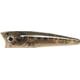 Rebel Lures Rebel Super Pop-R Topwater Bait, 3 1/8in, 5/16oz, Floating, Baby Bass, P66ZBB-R