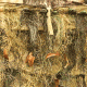 Red Rock Outdoor Gear Ghillie Blind Camouflage Netting - 4ft x 8ft Desert, Desert, One-Size 70986