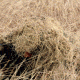 Red Rock Outdoor Gear Ghillie Blind Camouflage Netting - 4ft x 8ft Desert, Desert, One-Size 70986