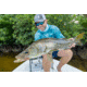 Redfin Polarized Dock Tortoise Sunglasses, Dock Tortoise Frame, Seagrass Polarized Lens, One Size, 1202