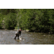 Redington Crosswater Fly Rod, 9ft, Medium, Moderate Slow, 4 Pieces, 5-5025-586-4