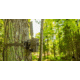 Reveal by Tactacam 3.0 Tree Mount, Black, R-A-TM-V3