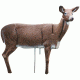Rinehart Doe Decoy, Brown 47011