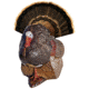 Rinehart Spot and Stalk Decoy Turkey, Brown, 48511