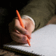 Rite in the Rain All-Weather Bullet Pen,Black Ink,Orange OR96