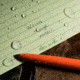 Rite in the Rain All Weather Pen - Orange W/ Black Ink, Orange, 5.25 OR97