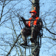 Rivers Edge Treestands 1-Man XL Ladder Stand, Black RE648