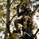 Rivers Edge Treestands Big Foot Original Hang-on Stand, Black RE555