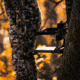 Rivers Edge Treestands Big Foot TearTuff XL Lounger Hang-on Stand, Black RE556