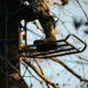 Rivers Edge Treestands Big Foot XL Classic Hang-on Stand, Black RE554