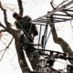 Rivers Edge Treestands Bowman Ladder Stand, RE663