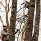 Rivers Edge Treestands Bowman Ladder Stand, RE663