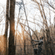 Rivers Edge Treestands Bowman Ladder Stand, RE663