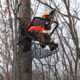 Rivers Edge Treestands Jumbo Jack Ladder Stand, Rivers Edge Grey, 1-Person, RE658