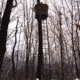 Rivers Edge Treestands Ladder 360 Lockdown, Black, 21 Foot, LD204
