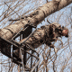 Rivers Edge Treestands Lockdown 21' 1-Man Ladder stand, Black RE651