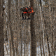 Rivers Edge Treestands Relax 2-Man Ladder Stand, Rivers Edge Grey, 2-Person, RE668