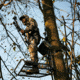 Rivers Edge Treestands Standard 2-man Ladder Stand, Black RE640