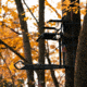 Rivers Edge Treestands Syct 2-Man Ladder Stand, Black RE642