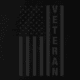 Rothco Veteran Flag T-Shirt - Mens, Black, Small, 27930-Black-S