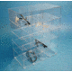 S-Curve Technologies Dispenser Sftyglass 20 Petg SGD-20 PETG, Unit EA