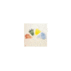Samco Disposable Transfer Pipets, Graduated, Samco Scientific 222-20S Large Bulb, Pack