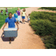 Coleman Signature 70 Quart Extreme Cooler, OVMLD, Dark Gray / Orange / Gray 3000002011