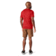 Smartwool Merino 150 Baselayer Short Sleeve - Mens, Cardinal Red, Large, SW000744D32L
