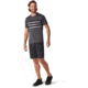 Smartwool Merino 150 Colorblock Short Sleeve - Mens, Iron Heather, Extra Large, SW016413D36-XL