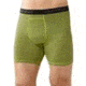 Smartwool NTS Micro 150 Boxer Brief - Men's-Pattern Green-Medium
