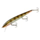 Smithwick Perfect 10 Rogue Jerkbait, 5.5in, 5/8 oz, Lerch, ADR5303