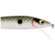 Smithwick Suspending Rattlin Rogue Jerkbait, 4.5in, Avocado Shad, ASDRB12194