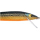 Smithwick Suspending Rattlin' Rogue Suspending Minnow Jerkbait, 4.5in, 3/8oz, Gold Rogue, ASDRB1269