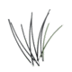 SnugPak Lonosphere Spare Tent Pole Set, IX, TP-92850-IX