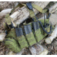 Specter Gear MOLLE Radio Pouch, Fits TYT TH-UV88, OD Green, 1235 OD