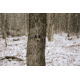 Spy Point Force 12 12MP Invisible LED HD Trail Camera w/Time-Lapse and Multi-shot, Camo Force-12