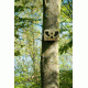 Spy Point Tiny-WBF 8MP Trail Camera w/Wireless Access and Time-Lapse/Multi-shot, Camo Tiny-WBF