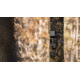 Spypoint CELL-LINK Trail Camera, Verizone Cell Service, Grey, CELL-LINK-V