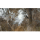 Spypoint MA-500 Trail Camera Brackets, Black, MA-500