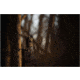Stealth Cam Trail Cam Eco Mount, Black, STC-ECMNT