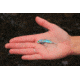 SteelShad Mini, 2 Pack, 1/4 Oz, Sexy Shad, SSL-10077
