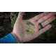 SteelShad Mini, 2 Pack, 1/4 Oz, Sexy Shad, SSL-10077