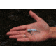 SteelShad Mini, 2 Pack, 1/4 Oz, White Shad, SSL-10078